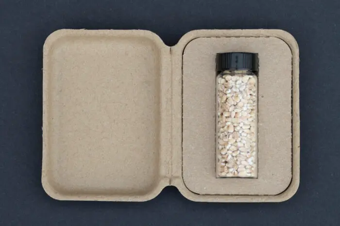 Insert with bottle