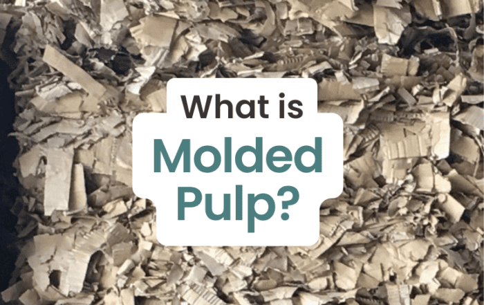 What is molded pulp video