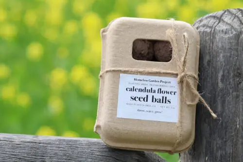 seed ball kit