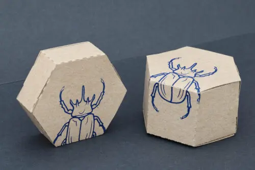 hexagonal tab boxes