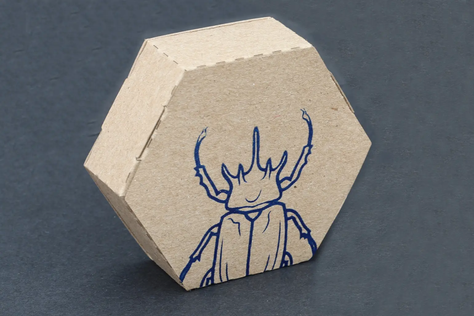 chipboard locking tab box in hexagonal shape
