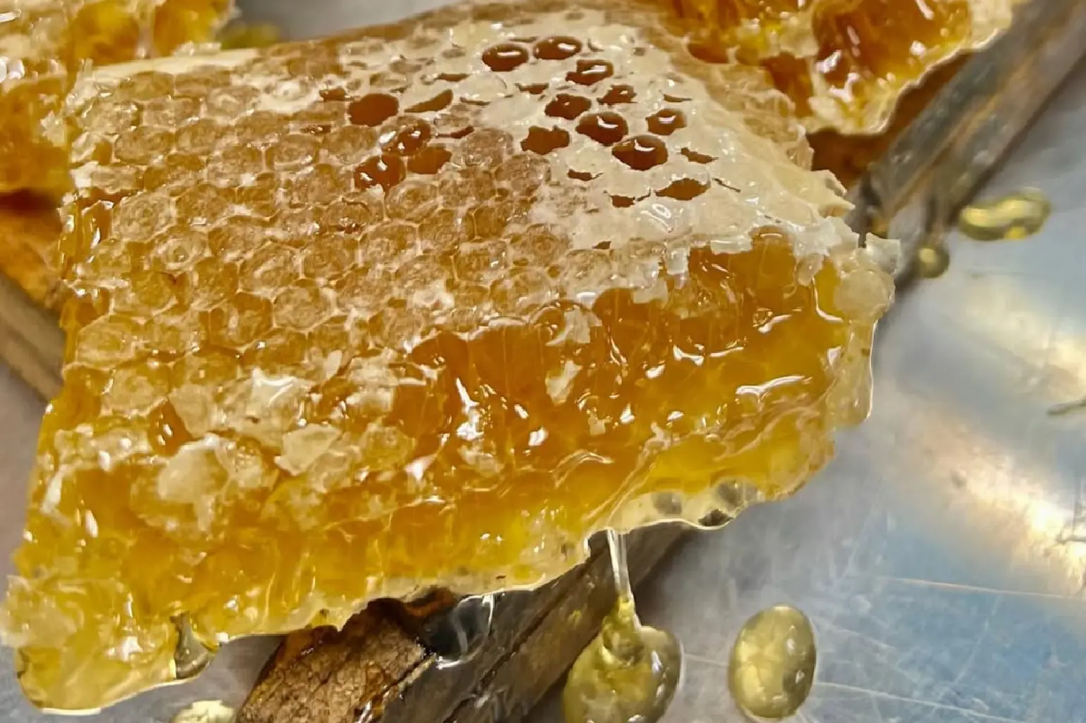raw honey raw honey