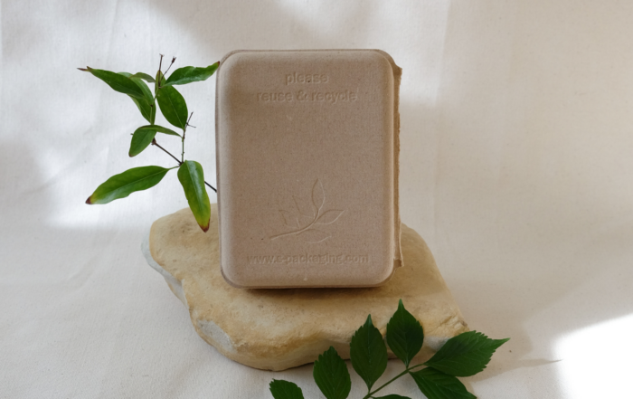 Molded pulp packaging box by s-packaging.com displayed upright on a natural stone, with embossed 'please reuse & recycle' text and leaf logo — eco-friendly sustainable packaging for brands
