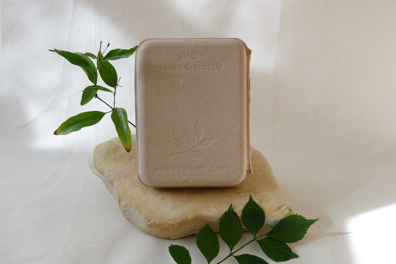 Molded pulp packaging box by s-packaging.com displayed upright on a natural stone, with embossed 'please reuse & recycle' text and leaf logo — eco-friendly sustainable packaging for brands
