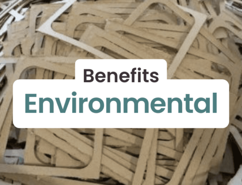 The Environmental Benefits of Molded Pulp Packaging