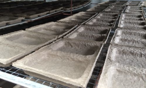 drying pulp packaging