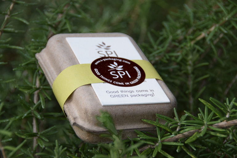 Download Small Clamshell Environmentally Friendly Packaging