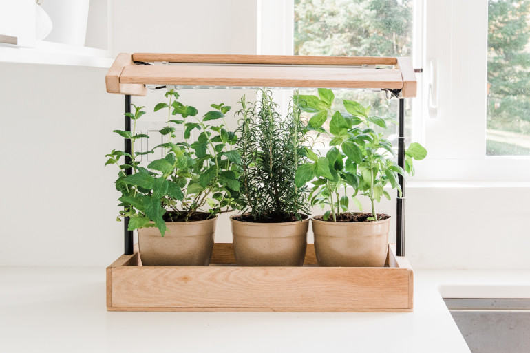 Kitchen Herb Garden Kits
