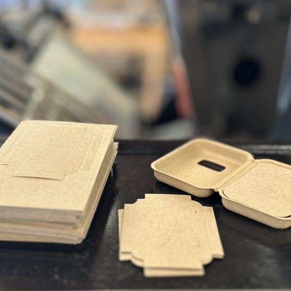 Diecut Chipboard Inserts